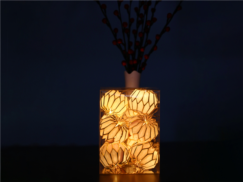 LED BATTERY HOLIDAY LIGHTS WITH PUMPKIN 