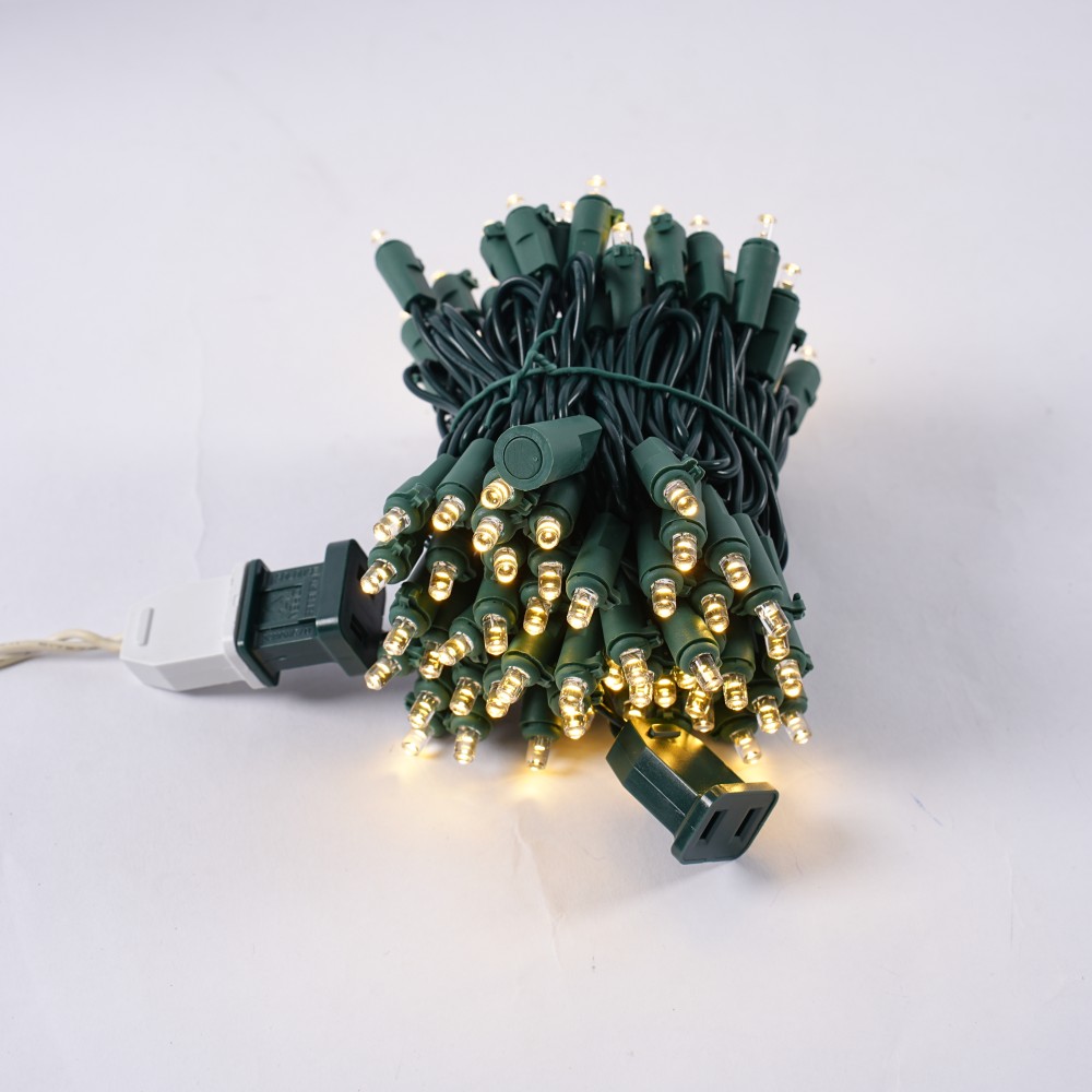 100 LED Light Set